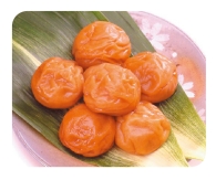 南高梅