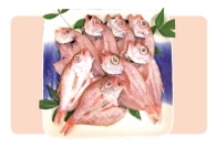 のどぐろ開きセット